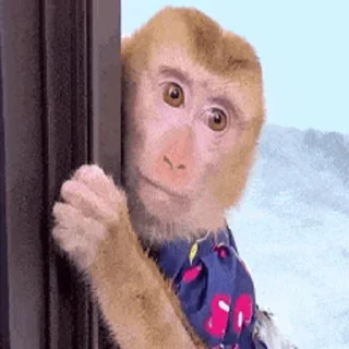 🐵 emoji 吗喽表情包 @Katak66 Telegram sticker 19 of 50
