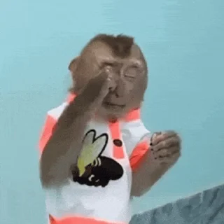 🐵 emoji 吗喽表情包 @Katak66 Telegram sticker 17 of 50