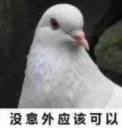 🐦 emoji 咕咕咕pack Telegram sticker 20 of 36
