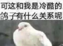 🐦 emoji 咕咕咕pack Telegram sticker 21 of 36