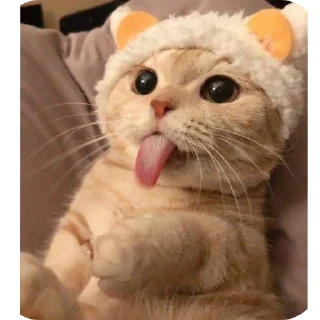 Sticker from Cats @telugustickerss