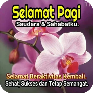 🌸 emoji punya mora Telegram sticker 14 of 28