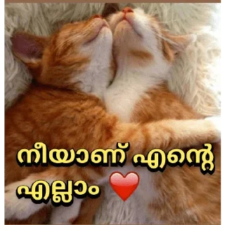 😂 emoji @PSYBEASTKGF Vol.5 Telegram sticker 19 of 120
