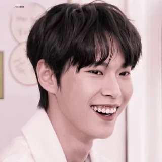 🕸 emoji @ZCKYX AS DOYOUNG Telegram sticker 12 of 91