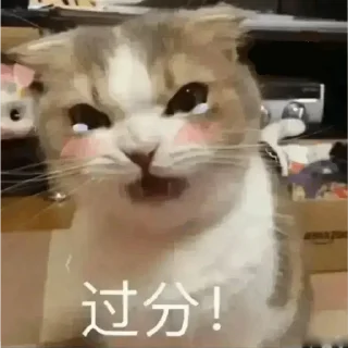 🐱 emoji 世界杯55%返佣⚽️ @zongjian Telegram sticker 22 of 85