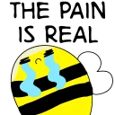 Sticker from animal borders