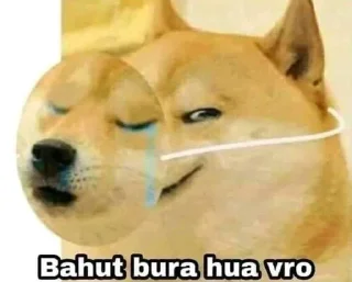 😂 emoji Sticker chori karka apna sanskar mat dikao Telegram sticker 19 of 92