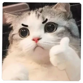 👍 emoji Animal @Trystickers Telegram sticker 5 of 35