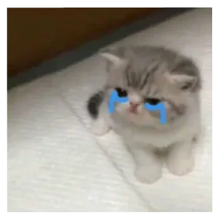 😭 emoji Bintang Kecil. Vol.2 Telegram sticker 15 of 30
