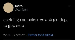 Sticker from titit cicak