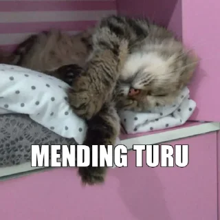 😪 emoji si cantik tak tertandingi Telegram sticker 16 of 16