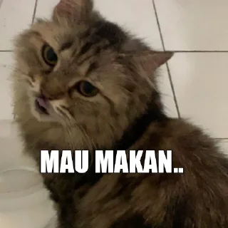 😣 emoji si cantik tak tertandingi Telegram sticker 13 of 16