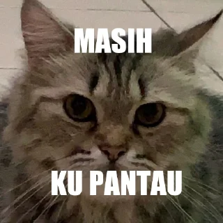 😑 emoji si cantik tak tertandingi Telegram sticker 1 of 16