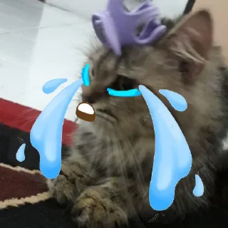 😭 emoji si cantik tak tertandingi Telegram sticker 8 of 16