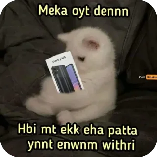 🐱 emoji Samsung m05 Telegram sticker 6 of 7