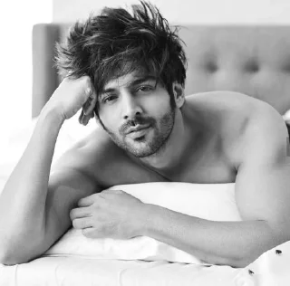 🎭 emoji Kartik Aryan @actor_sticker Telegram sticker 18 of 50