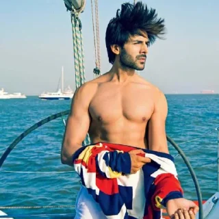 🎭 emoji Kartik Aryan @actor_sticker Telegram sticker 15 of 50