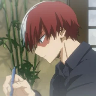🥢 emoji todoroki Telegram sticker 6 of 24