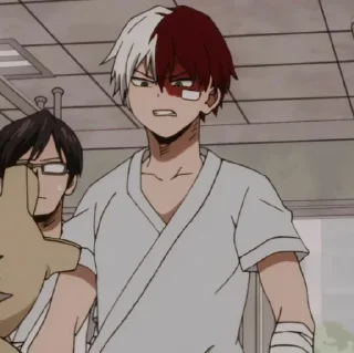 🥢 emoji todoroki Telegram sticker 15 of 24
