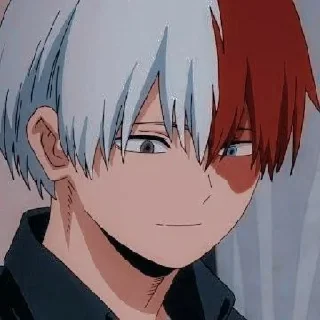 🥢 emoji todoroki Telegram sticker 10 of 24