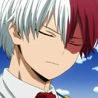 🥢 emoji todoroki Telegram sticker 5 of 24