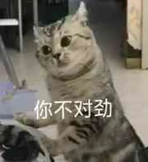 Sticker from 流火自用
