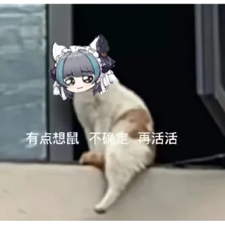 🐱 emoji 超级柴郡五@NyankoNyankoNyaaNyaa Telegram sticker 14 of 120