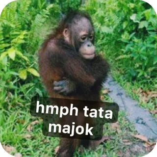 😀 emoji monyet vi Telegram sticker 21 of 23