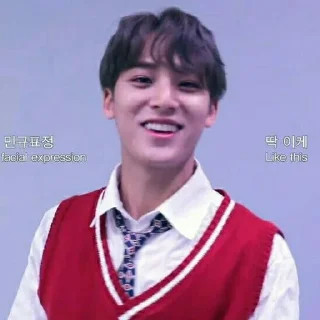 Sticker from ﹟kim mingyu ⋆ @randomtikell