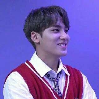 Sticker from ﹟kim mingyu ⋆ @randomtikell