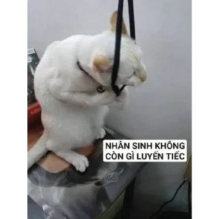 😋 emoji "Trứng cuteee 🥚❤️" Telegram sticker 9 of 52