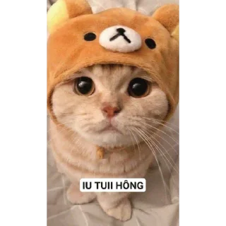 😋 emoji "Trứng cuteee 🥚❤️" Telegram sticker 6 of 52