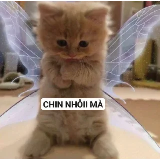 😋 emoji "Trứng cuteee 🥚❤️" Telegram sticker 12 of 52