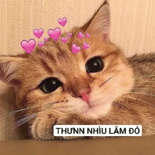 😋 emoji "Trứng cuteee 🥚❤️" Telegram sticker 5 of 52