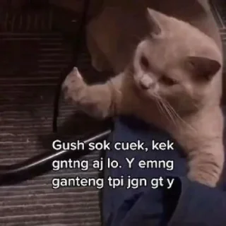 🫶 emoji Gombal buat doi Telegram sticker 23 of 30