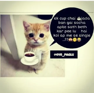 ☕️ emoji @SIDHA_SAADHA_LADKA Telegram sticker 8 of 120