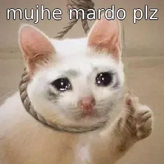 🥺 emoji @SIDHA_SAADHA_LADKA Telegram sticker 23 of 120