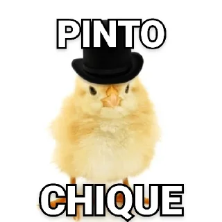 😀 emoji Tipos de Pintos - Pintos memes Telegram sticker 6 of 17