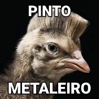 😀 emoji Tipos de Pintos - Pintos memes Telegram sticker 10 of 17
