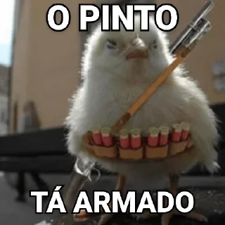 😀 emoji Tipos de Pintos - Pintos memes Telegram sticker 4 of 17