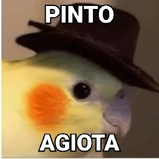 😀 emoji Tipos de Pintos - Pintos memes Telegram sticker 7 of 17