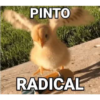 😀 emoji Tipos de Pintos - Pintos memes Telegram sticker 9 of 17