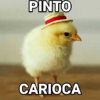 😀 emoji Tipos de Pintos - Pintos memes Telegram sticker 1 of 17