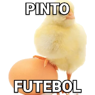 😀 emoji Tipos de Pintos - Pintos memes Telegram sticker 2 of 17