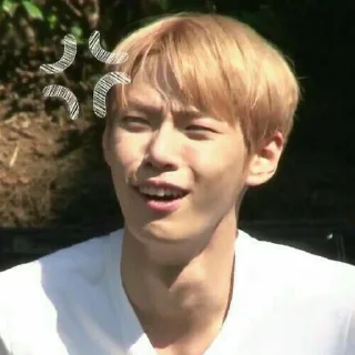🤡 emoji doyoung reaction；@honeypies Telegram sticker 22 of 40