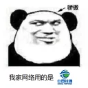 🇨🇳 emoji 我家网络用的是？ Telegram sticker 13 of 35