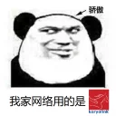 🇰🇵 emoji 我家网络用的是？ Telegram sticker 22 of 35