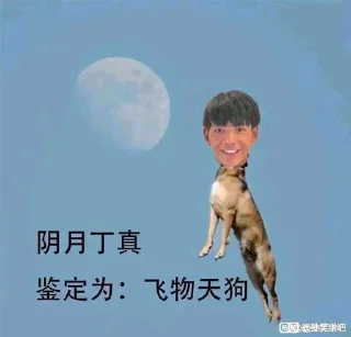 😅 emoji 一眼丁真 @dingzhenyuzhou 频道维护 Telegram sticker 20 of 113