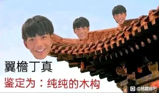 🥵 emoji 一眼丁真 @dingzhenyuzhou 频道维护 Telegram sticker 12 of 113
