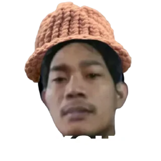 😁 emoji CUPANG VENTURES Telegram sticker 13 of 14